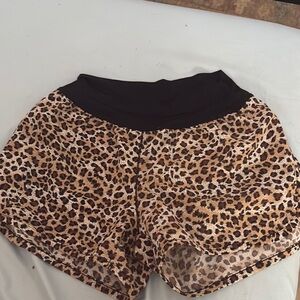 Gianni Bini Leopard Print Athletic Shorts with Black Waistband